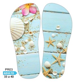 Lonita Sublimada Praia, Conchas e Mar (33 a 39/40)