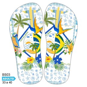 Lonita Sublimada Copa do Mundo e Brasilidades (33 a 39/40)